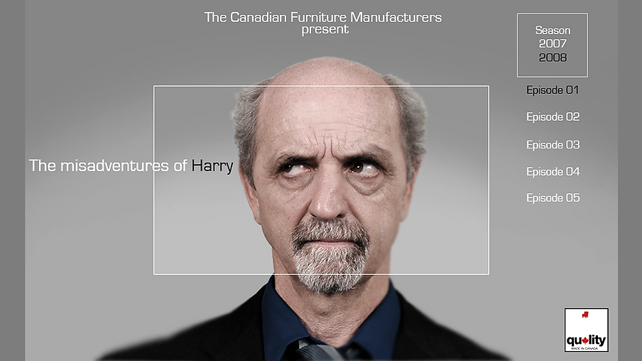 The Misadventures of Harry - Websérie Advertainment